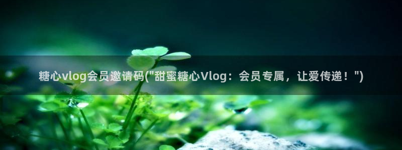 糖心vlog小马：糖心vlog会员邀请码(\