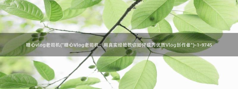 小桃vlog糖心