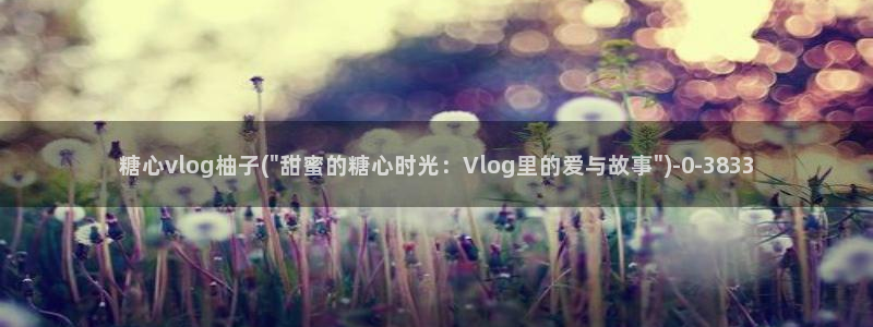 糖心出品vlog一区二区