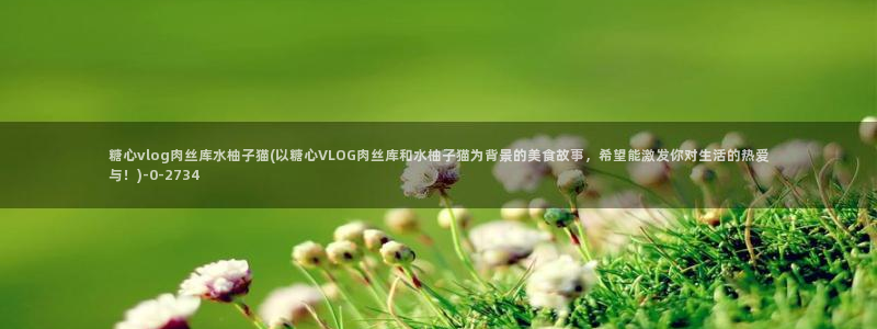 糖心vlog干嘛的