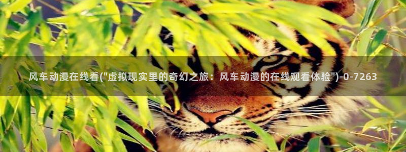 动漫世界