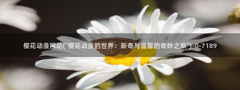 动漫节