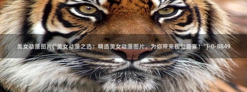 yy动漫