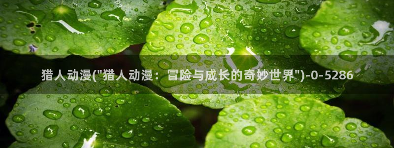 吞噬星空动漫