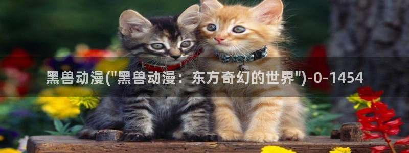 肉动漫
