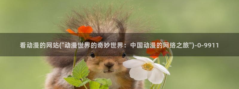 动漫之家