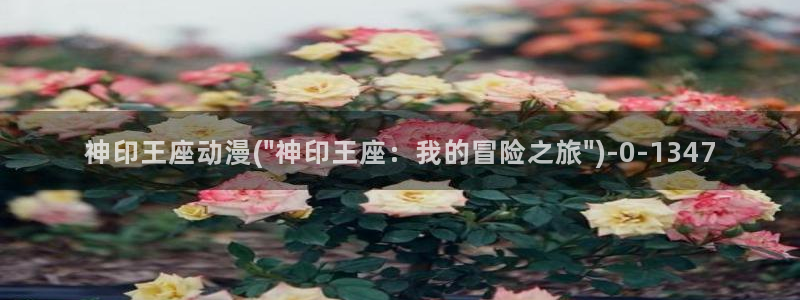 第一动漫